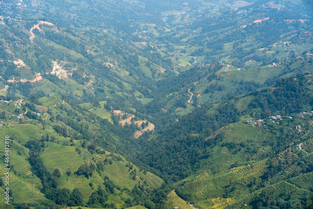 An aerial view of a green terraced valley with scattered trees.