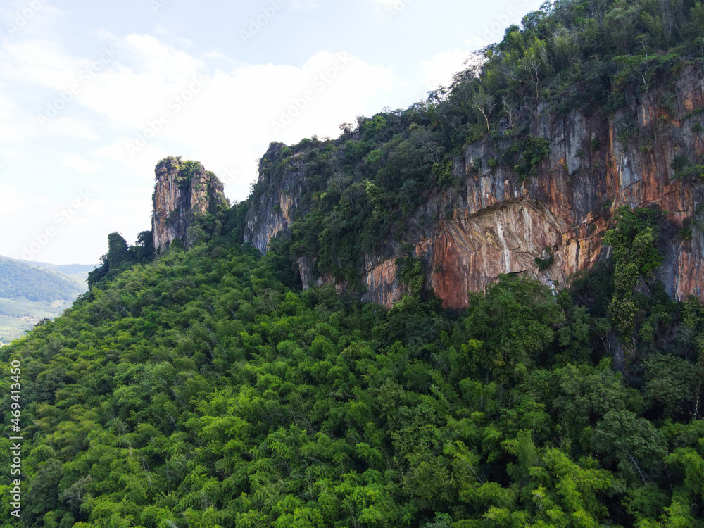 Bamboo forest on the mountain cliff with green tree, nature mountain rock stone beautiful in the forest