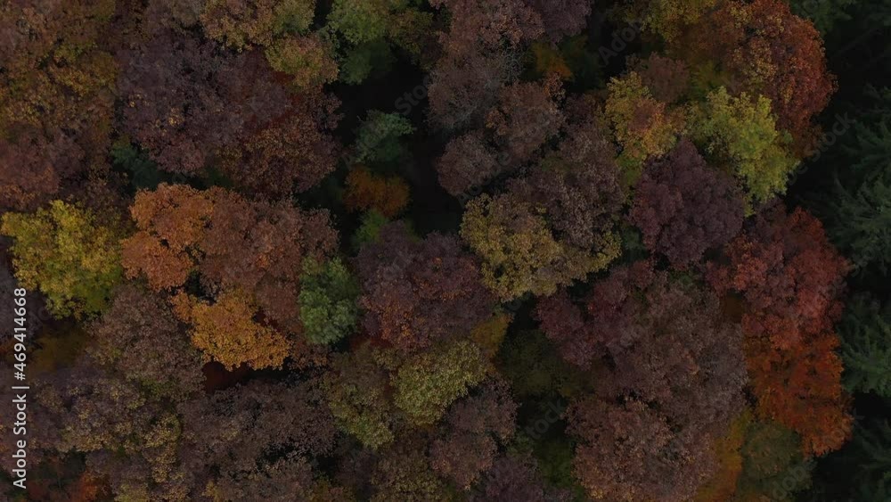 Wonderful autumn treetop colors in a slow flight in 4K. Cinematic drone footage from the fall season for the beauty of our nature Wonderful autumn treetop colors in a slow flight in 4K. Cinematic drone footage from the fall season for the beauty of our nature