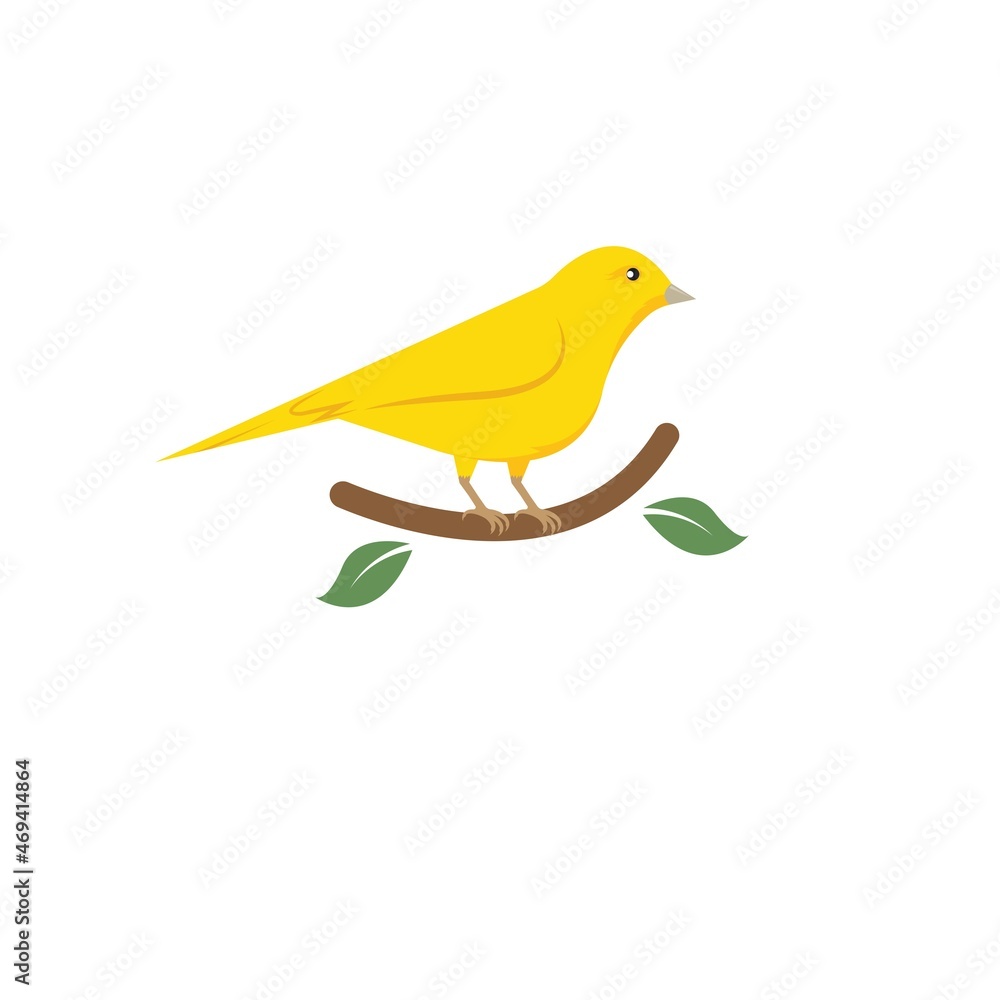 canary bird icon vector illustration concept design canary bird icon vector illustration concept design