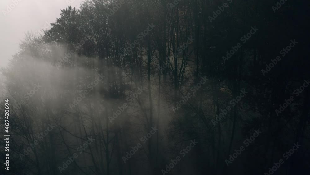 Autumn forest in the fog, beautiful mountain morning landscape. View from the drone. Autumn forest in the fog, beautiful mountain morning landscape. View from the drone.