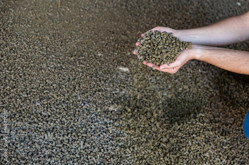 Closeup of handful of granulated rapeseed meal in male hands. Concept of organic supplement in production of compound feed for livestock animals