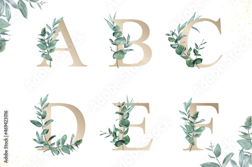 Watercolor floral alphabet set of a, b, c, d, e, f with hand drawn Foliage