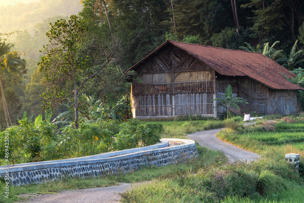 Beautiful view of the winding road leading to the hut in the middle of the gardens and rice fields with lots of trees behind it. Beautiful view of the winding road leading to the hut in the middle of the gardens and rice fields with lots of trees behind it.
