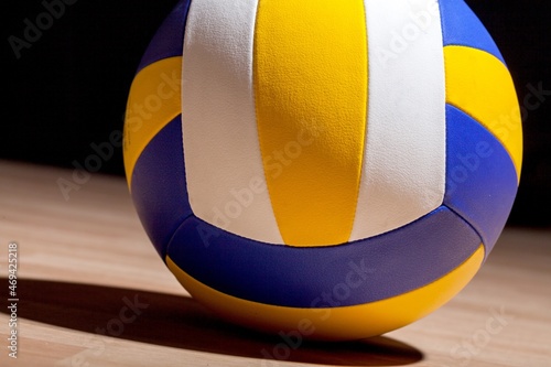 Vászonkép Volleyball Ball