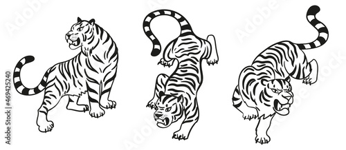 Graphic tigers set. Black and white Collection of predatory wild cats. Vector illustration isolated on white background.