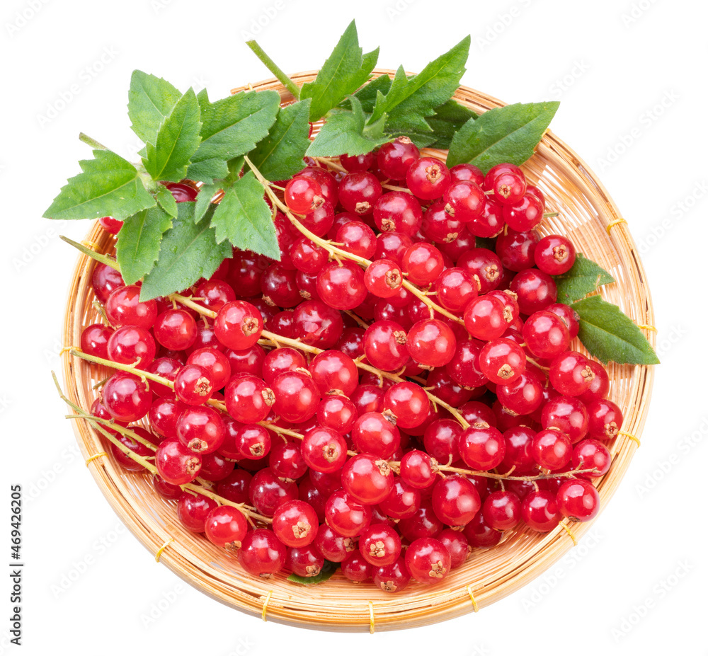 Sweet Red currant berries in basket isolated on white background, Red currant berries isolated on white background With clipping path. Sweet Red currant berries in basket isolated on white background, Red currant berries isolated on white background With clipping path.