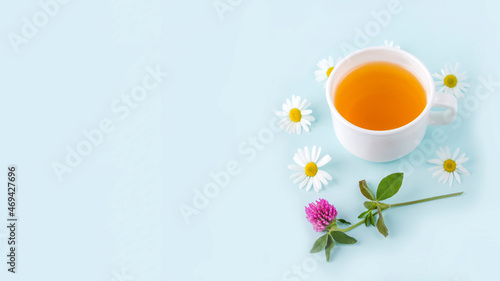 Cup of herbal tea with flowers chamomile on blue background, with copy space for text. Organic floral, green asian tea. Herbal medicine at seasonal diseases and treatment of colds, flu, heat