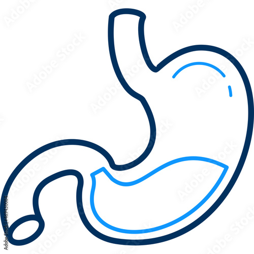 Stomach