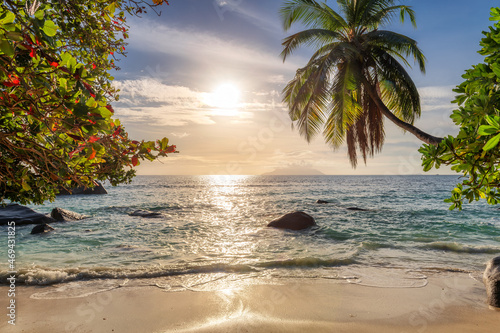 Palm trees at sunset in beautiful tropical beach photo