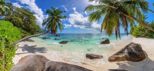 Fototapeta Naklejka Na Ścianę i Meble -  Panoramic view of beautiful tropical beach with palms and sea.