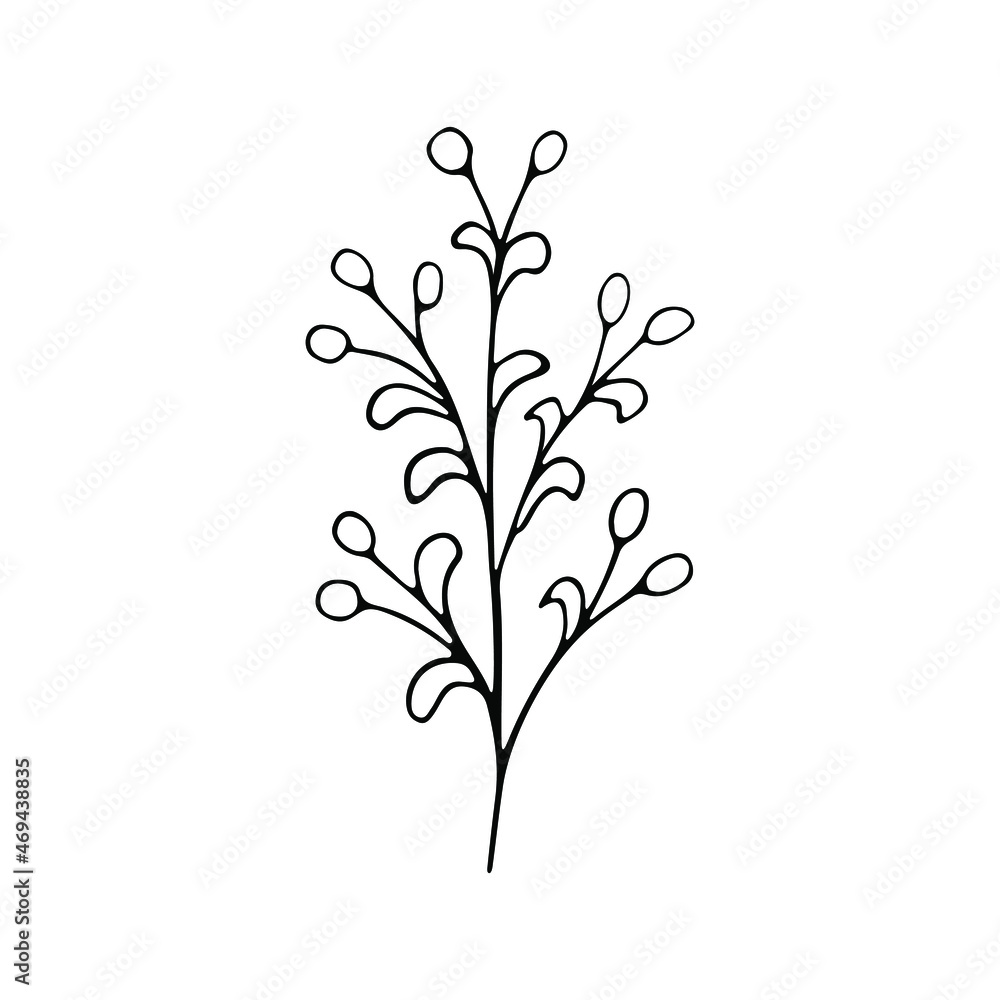A hand-drawn set of black sketches of isolated flowers and leaves on a white background. A vector description of a doodle of flowers and leaves.