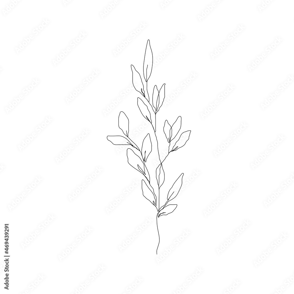 Leaf Branch Line Art Drawing. Leaves Line Drawing Illustration. Botanical Print Minimalist Style. Vector EPS 10