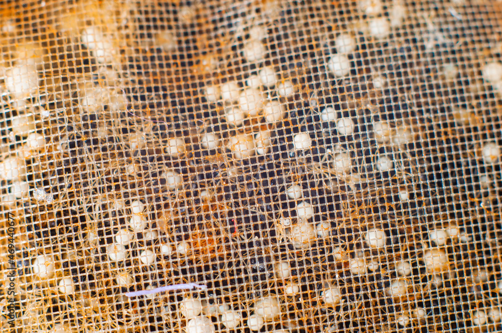 Activated carbon mixed with white balls for filling the filter, macro shot Activated carbon mixed with white balls for filling the filter, macro shot