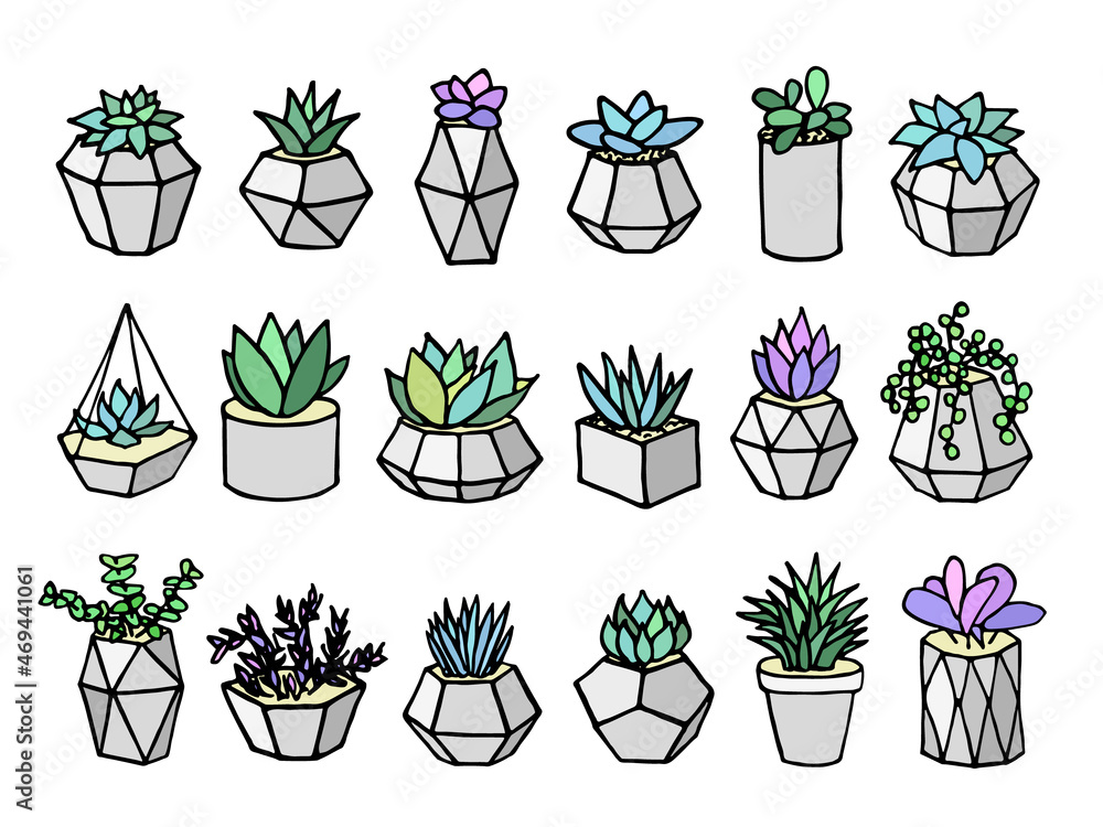 Plants in pots collection. Succulents set in modern concrete flower pot ...