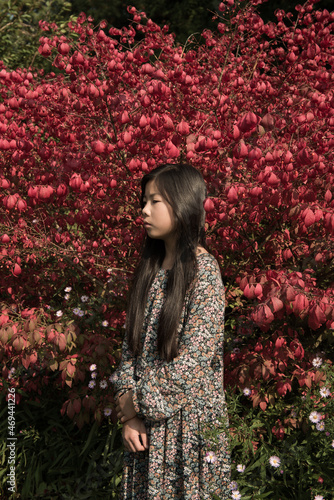 asian girl in flower dress in autumn standing near red colored foliage bush photo