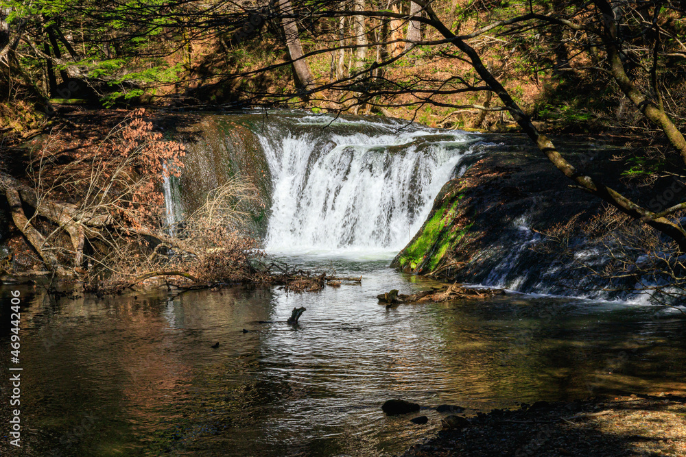 Fototapeta premium 湯滝 奥日光