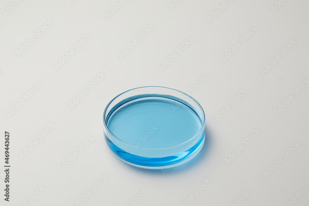 Petri dishes with blue water and ripple in grey background Petri dishes with blue water and ripple in grey background