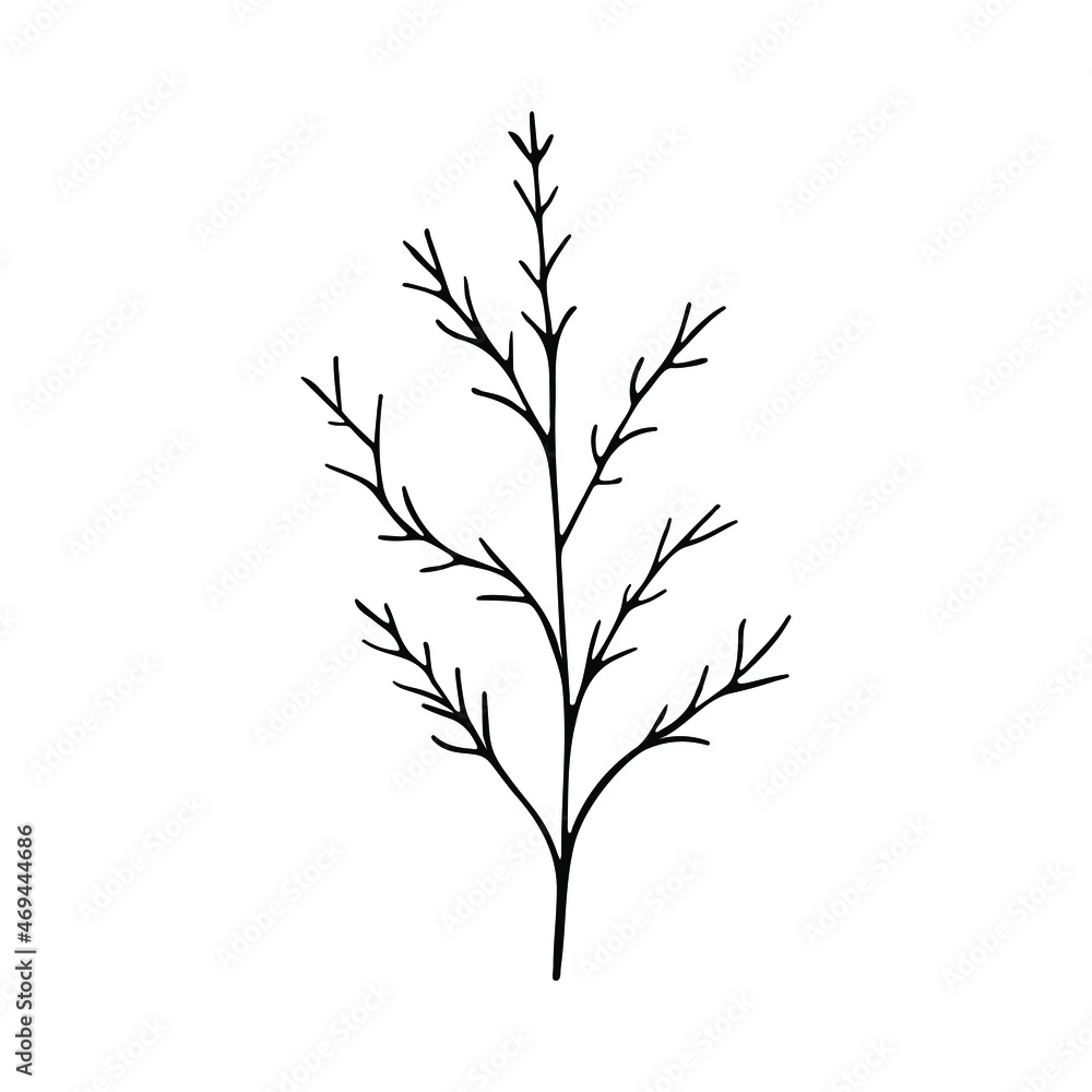 Fototapeta premium A hand-drawn set of black sketches of isolated flowers and leaves on a white background. A vector description of a doodle of flowers and leaves.