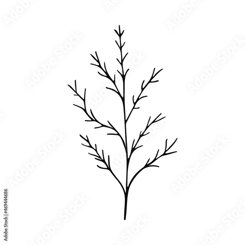 A hand-drawn set of black sketches of isolated flowers and leaves on a white background. A vector description of a doodle of flowers and leaves. © Tnzal