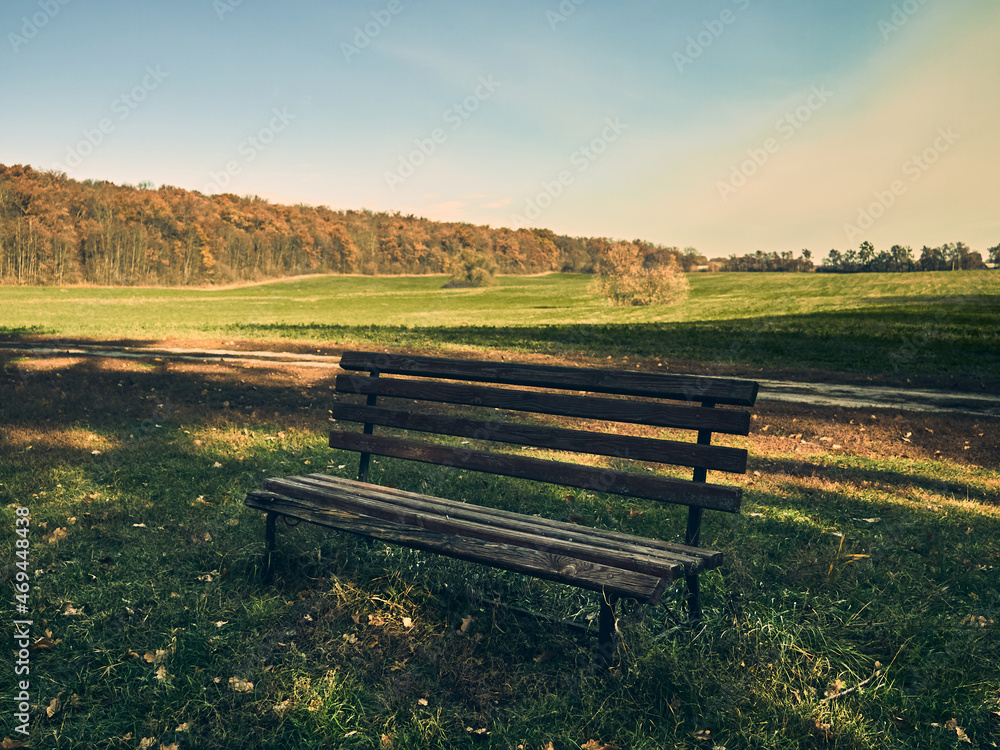 Fototapeta premium A bench for rest stands in a clearing, around a field and a forest, a picturesque place, autumn mood