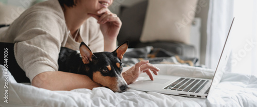 Obraz na płótnie Basenji dog lying with the owner in front of the laptop at home on the bed w salonie