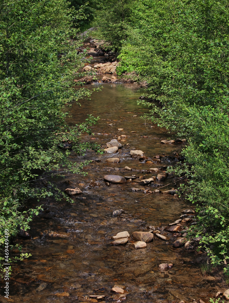 rocky stream in the forest rocky stream in the forest