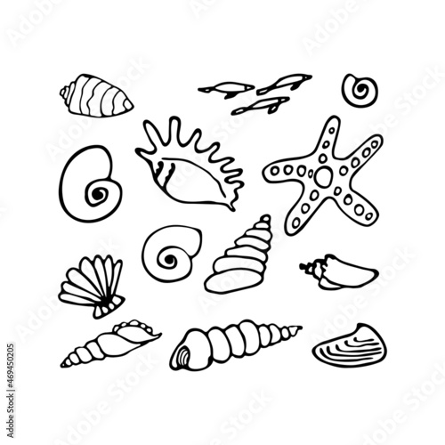 Set of seashells, clamshell, starfish. Inhabitant of a coral reef, ocean, seabed, oceanarium, aquarium. Hand drawn thin line art vector illustration. Isolated simple element. © Mari Bryk