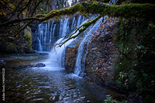 Fototapeta Naklejka Na Ścianę i Meble -  Kaskaden von Wasserfall mit Ast, Moos, Bäume, Wald