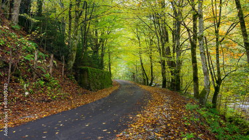 Autumn landscape  asphalt road mostly covered by leaves