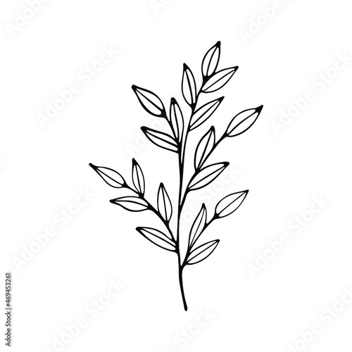 Fototapeta Naklejka Na Ścianę i Meble -  A hand-drawn set of black sketches of isolated flowers and leaves on a white background. A vector description of a doodle of flowers and leaves.