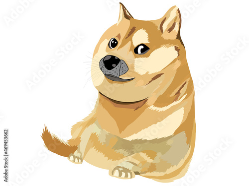 doge sitting  and smiling  vector illustrator hand drawing