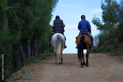 Photograph of two men riding horses in the bush on a sunny day, taken from behind. photo