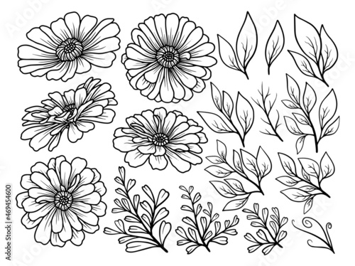 Hand drawn flower sketch line art illustration set