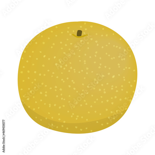 和梨のイラスト