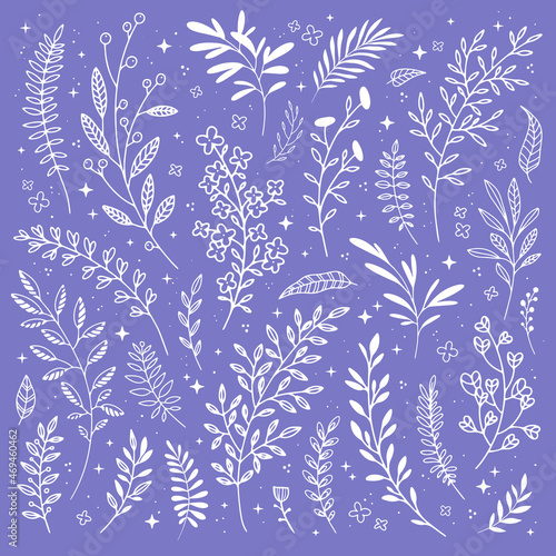 Floral doodle design elements. Sketch and line winter plants. Vector botanical Christmas collection of branches and flowers for DIY projects, invitations, cards.