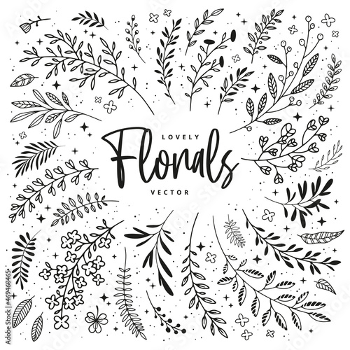 Floral doodle rustic design elements. Sketch and line boho plants. Vector botanical collection of branches and flowers for DIY projects, invitations, cards.