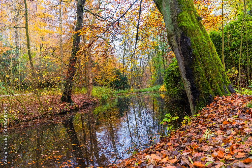 autumn in the forest autumn in the forest