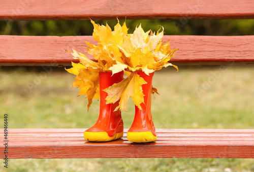 Pair of rubber boots with golden autumn leaves on bench photo