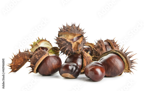 Pile of chestnuts on white background