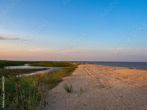 A great place for a relaxing family holiday. The shore of the bay. A sandy strip of shells between the sea bay and the shallows overgrown with reeds