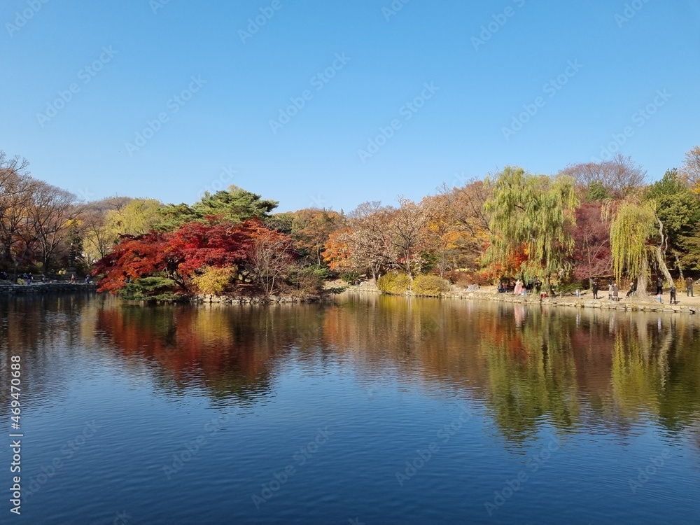 Palace of Korea at Autumn (Changgyeonggung)