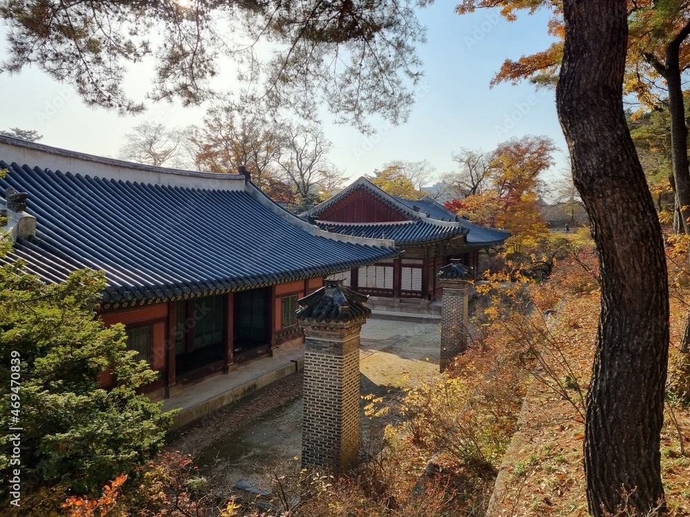 Palace of Korea at Autumn (Changgyeonggung)
