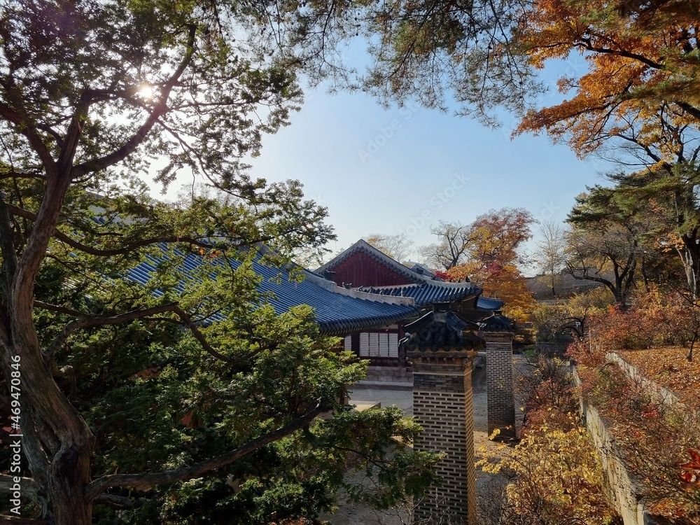 Palace of Korea at Autumn (Changgyeonggung) Palace of Korea at Autumn (Changgyeonggung)