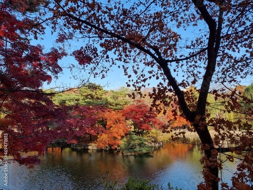 Palace of Korea at Autumn  Changgyeonggung 