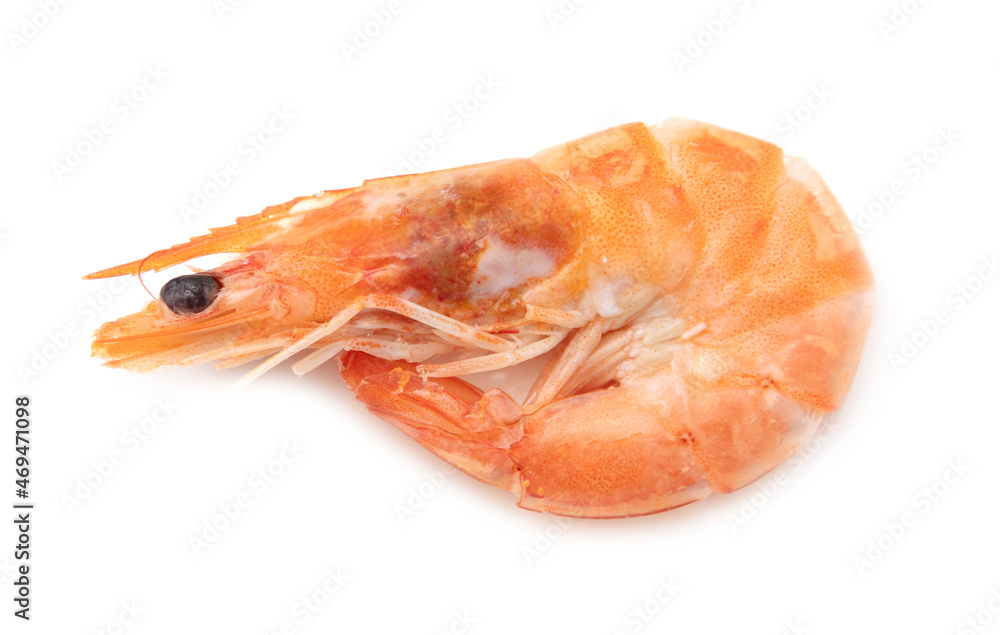 Red shrimp isolated on a white background. Red shrimp isolated on a white background.