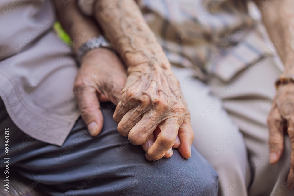 Fototapeta premium Elderly couple holding hands with love. Hand of an elderly woman holding the hand of an elderly man