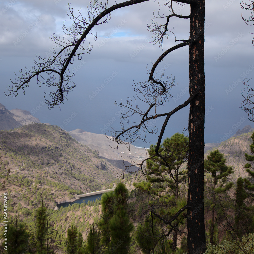 Obraz premium Gran Canaria, landscape of the central montainous part of the island, Las Cumbres, ie The Summits, hiking route to Altavista, aboriginal name Azaenegue, mountain in Artenara municipality