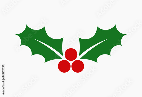 Christmas holly berries leaves flat icon.