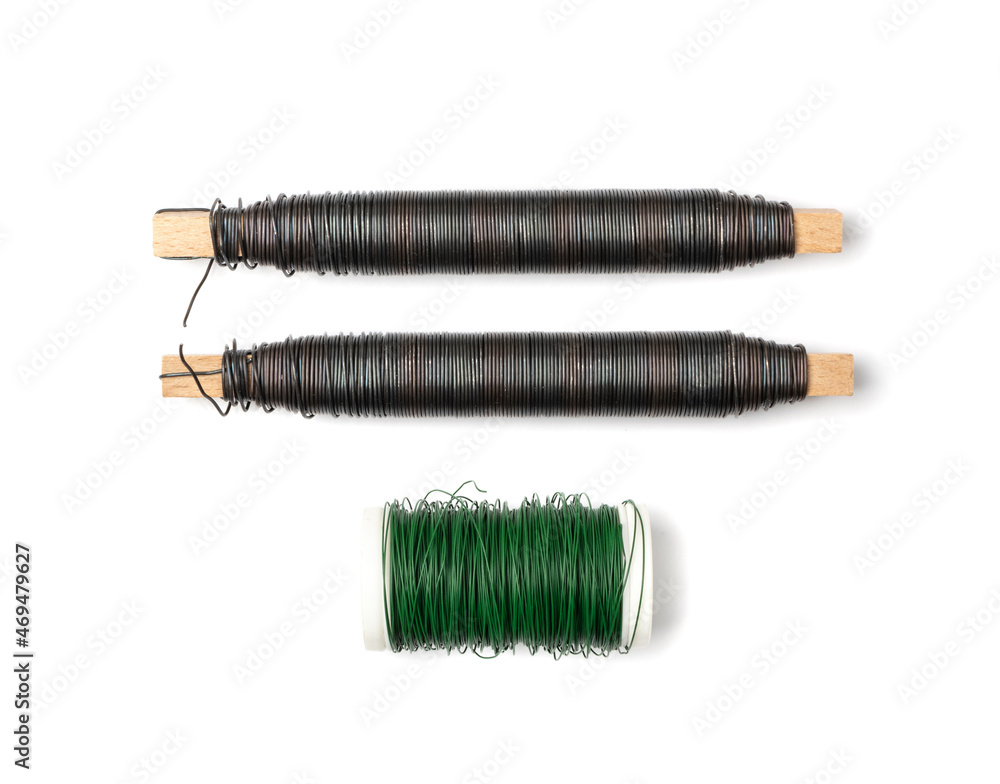 Fototapeta premium Floristic Wire Isolated on White Background